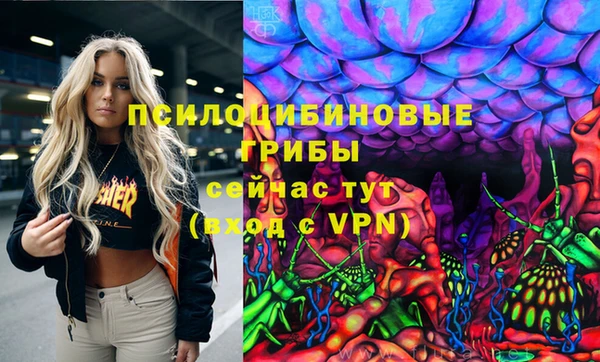 прущая мука Дмитровск