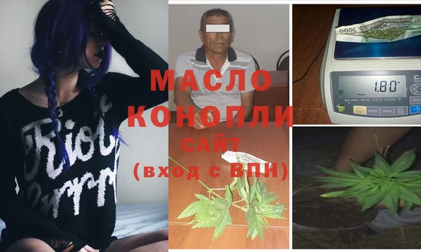 мяу мяу кристалл Гусь-Хрустальный